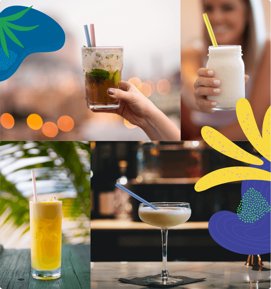Lifestyle | Happy Turtle Straw