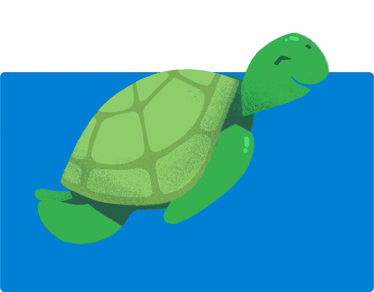 Turtle animated | The Happy Turtle Straw