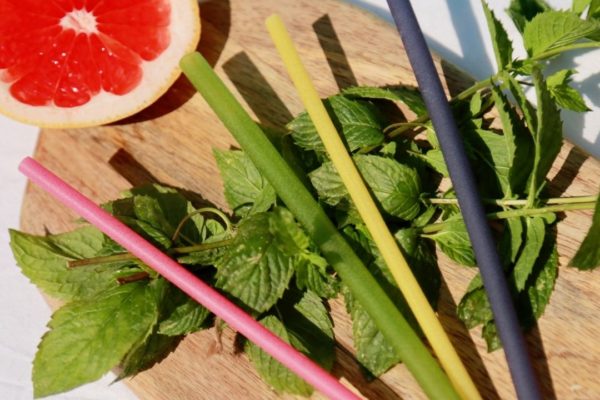 Straws shooting (1)