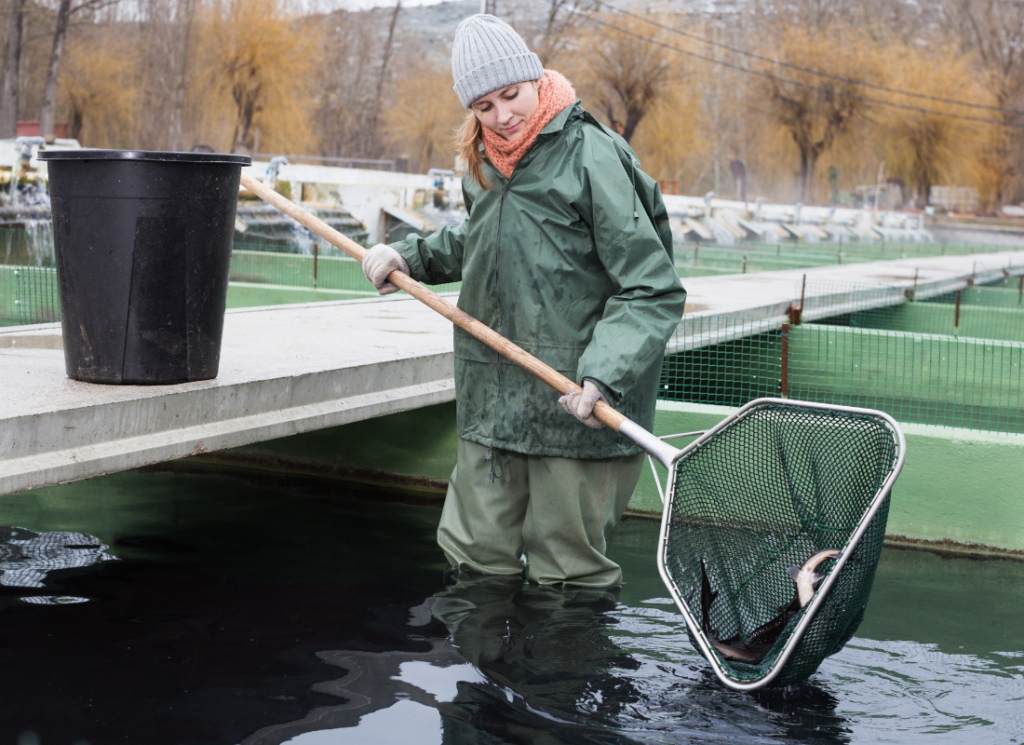 Netter Fish Faming Is farmed fish better for the environment? - The Happy Turtle Straw